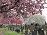 Weaste Cemetery