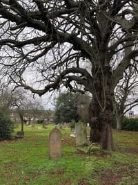 Old Mortlake Burial Ground