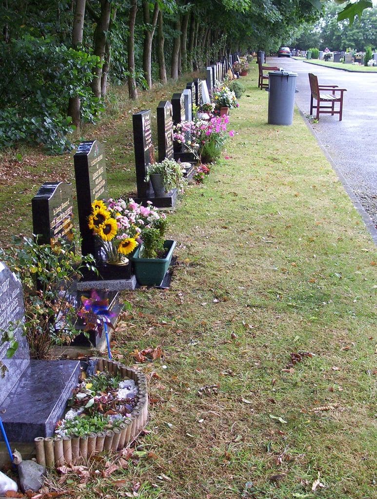 Dunham Lawn Cemetery — photo 1