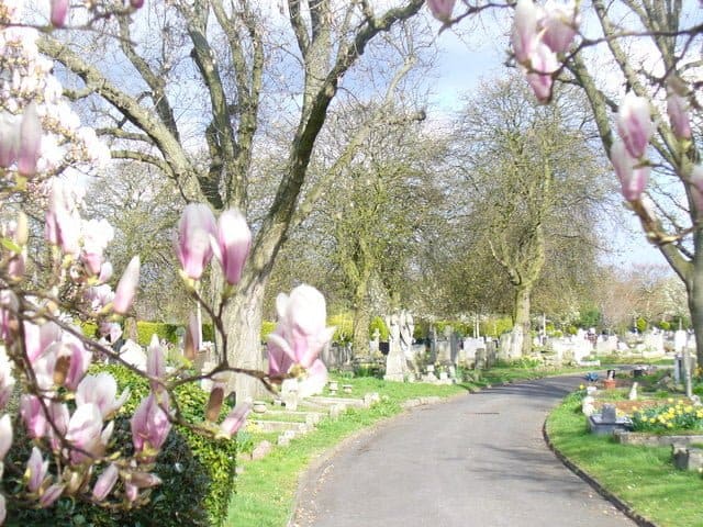 Mortlake Cemetery — photo 2