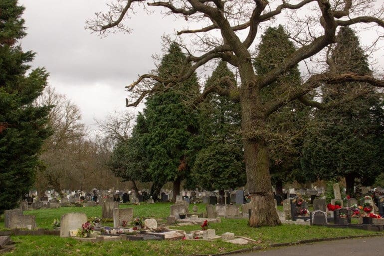 Grove Park Cemetery — photo 3