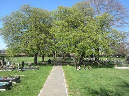 Biggin Hill Cemetery — photo 1