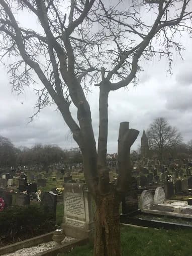Hale Cemetery — photo 2