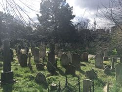 Brompton Cemetery — photo 3