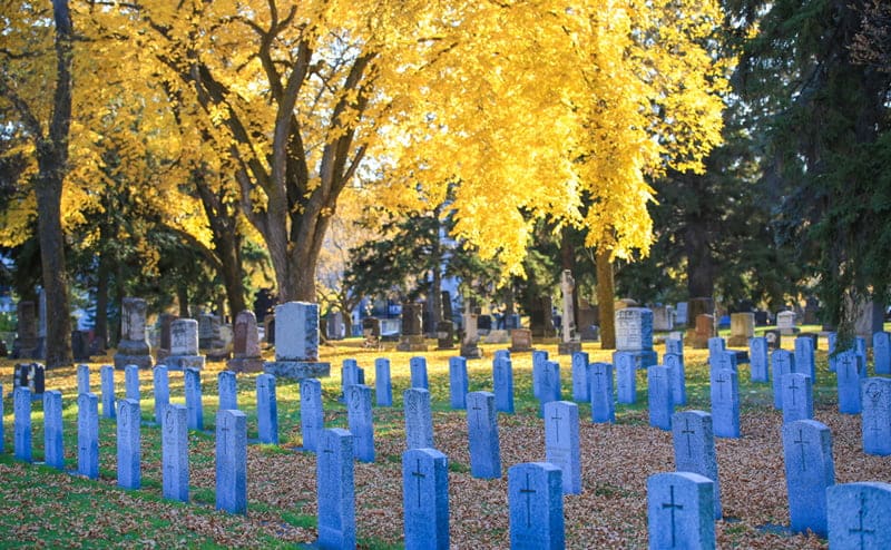 Edmonton Cemetery — photo 3