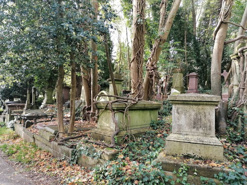 Highgate Cemetery — photo 3