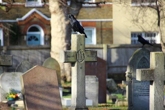 Old Mortlake Burial Ground — photo 2