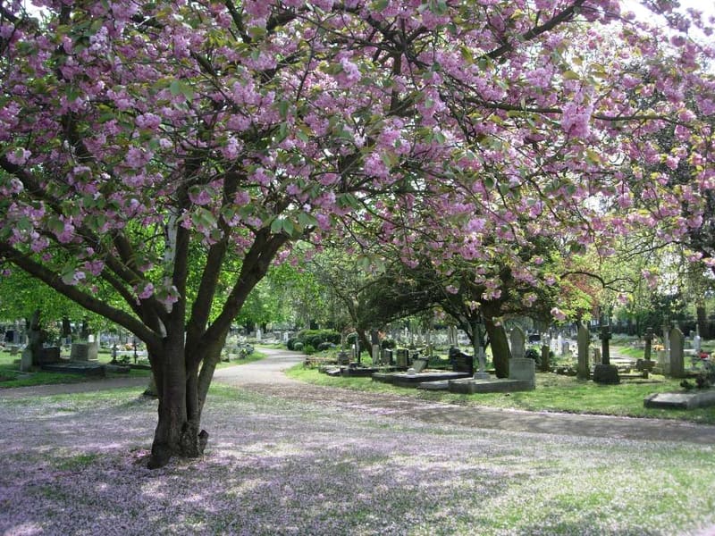 Gunnersbury Cemetery — photo 3