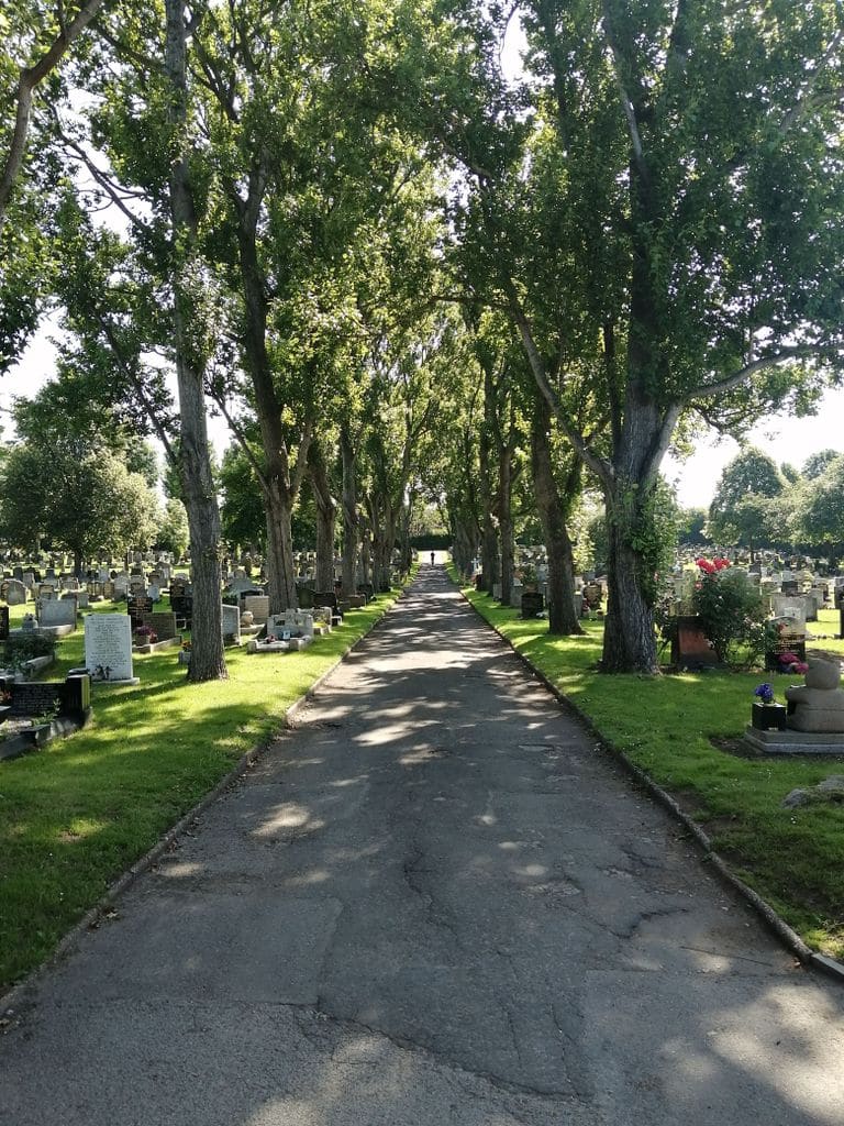Maltby Cemetery — photo 1