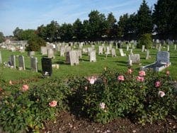 Hortus Cemetery — photo 1