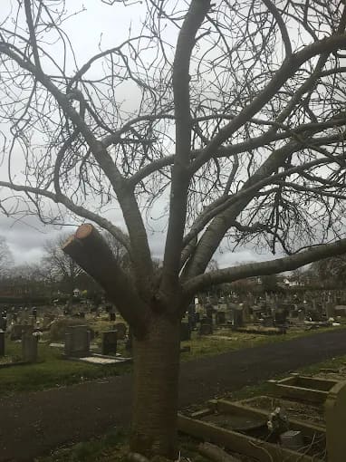 Hale Cemetery — photo 3