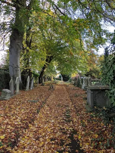 Ripley Cemetery — photo 1