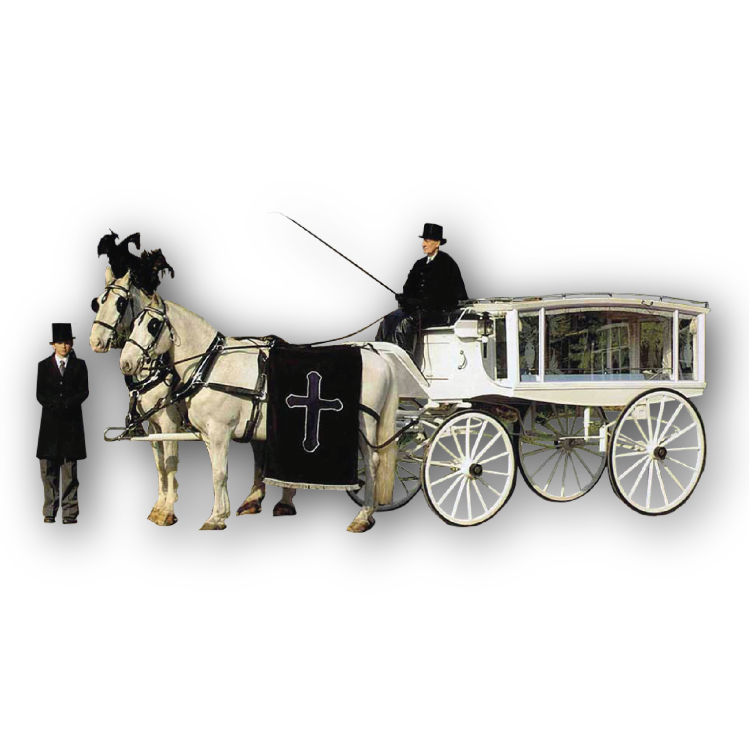 Horse Drawn Hearse In Memory Of Life Funerals